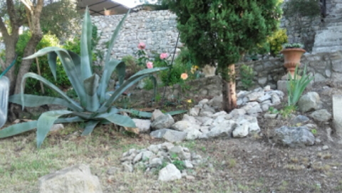Ine rotsdtuin